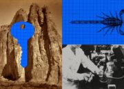 Anthropic-ის AI-მ 64 საათში მორიელის შხამის საწინააღმდეგო 318 484 ცილა შექმნა