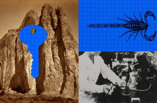 Anthropic-ის AI-მ 64 საათში მორიელის შხამის საწინააღმდეგო 318 484 ცილა შექმნა