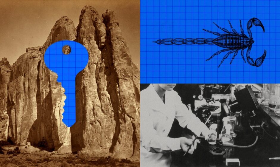 Anthropic-ის AI-მ 64 საათში მორიელის შხამის საწინააღმდეგო 318 484 ცილა შექმნა
