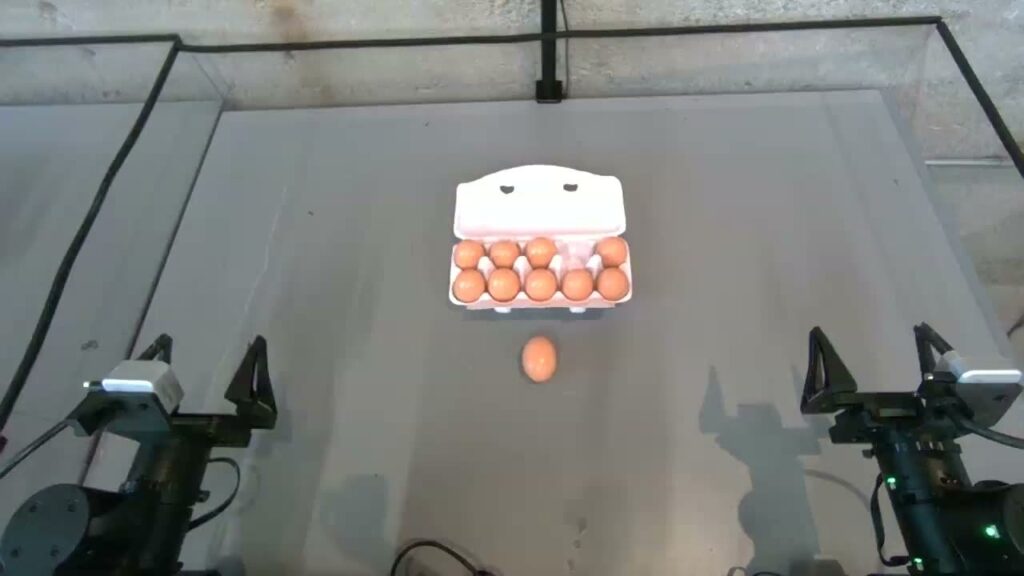 Dream-1 handling an egg next to an egg carton (Dream Labs)