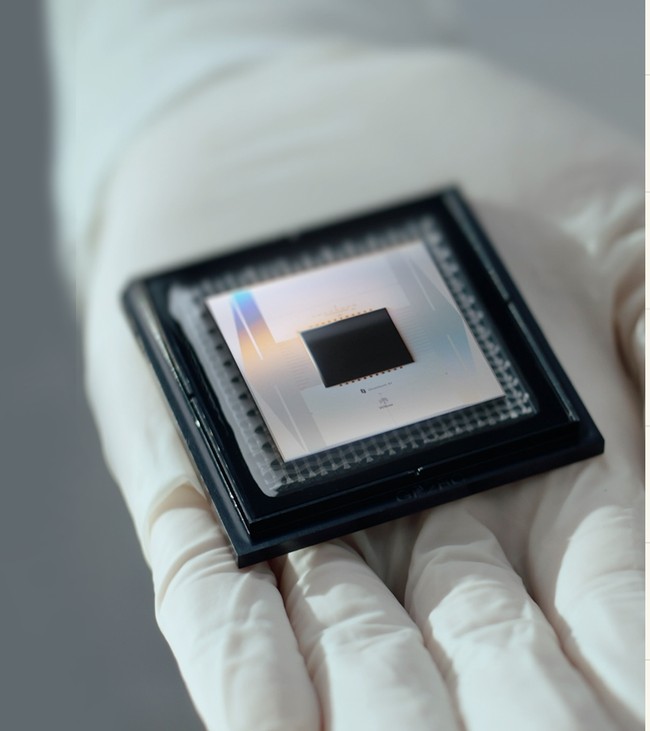 Google Quantum AI Willow processor (Google)