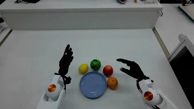 Natura-1 hands placing fruit on a plate (Nature Will)