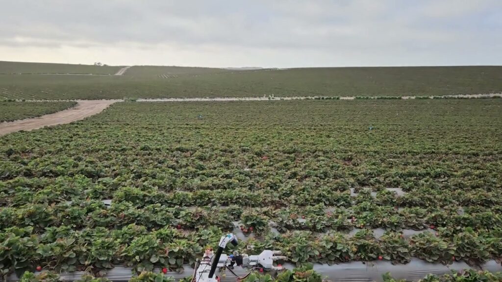 AgRobotics field robot (Physical Intelligence)