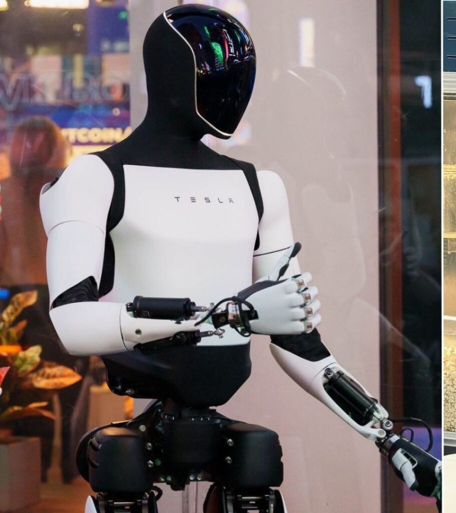 Tesla's Optimus humanoid robot (Tesla)
